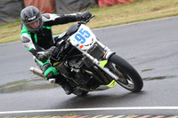 Fowlers 0738