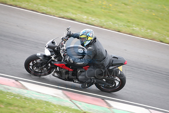 BIKES 2041