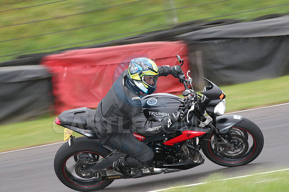 BIKES 1541