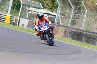 Yamaha ( 20 )