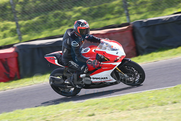 BIKES 1694
