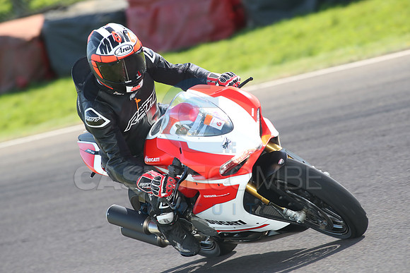 BIKES 1733