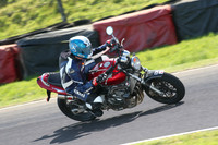 BIKES 1710