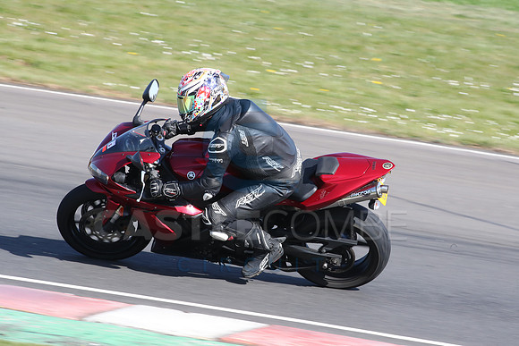 BIKES 2118