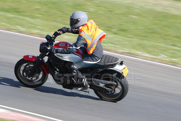BIKES 2133