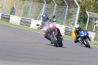 BIKES 1369