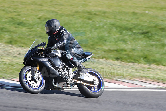 BIKES 2187