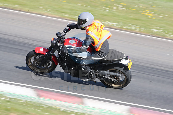 BIKES 2135