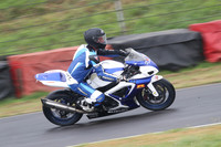 Fowlers 0682