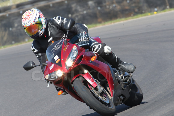 BIKES 0698
