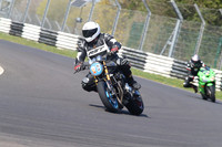 BIKES 1347