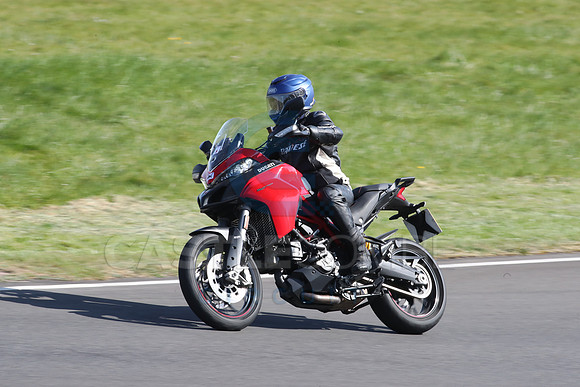 BIKES 2113