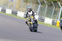 BIKES 1391