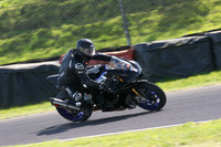 BIKES 1685
