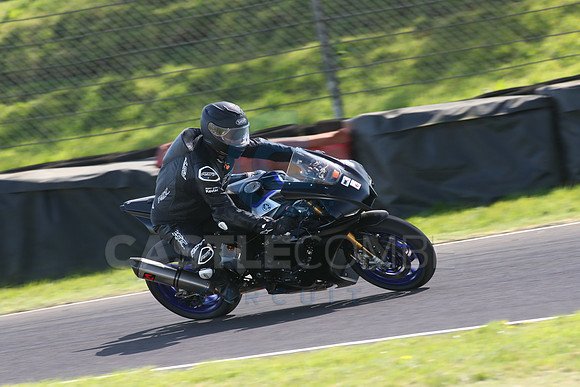 BIKES 1685