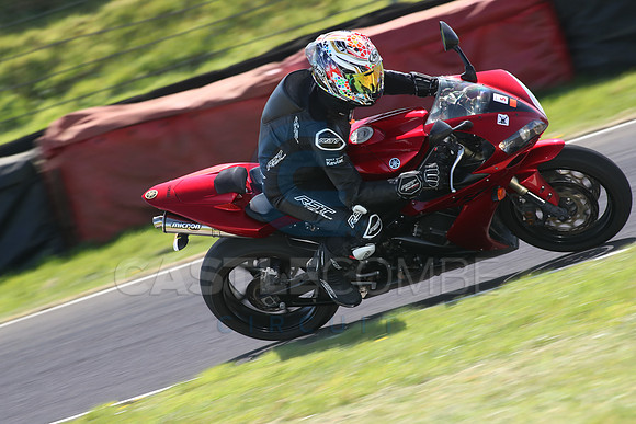 BIKES 1590
