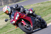 BIKES 0715