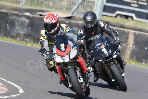 BIKES 0800