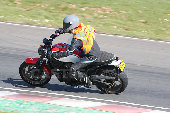 BIKES 2100