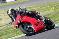BIKES 0589