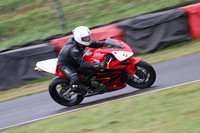 Fowlers 0695