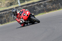 BIKES 0551