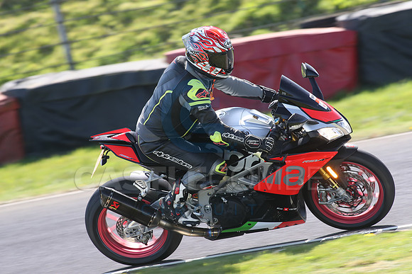 BIKES 1676
