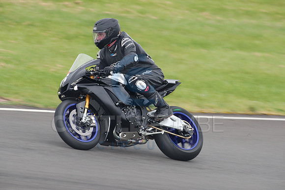 BIKES 2181