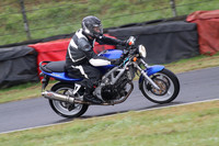 Fowlers 0565