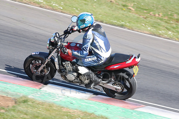 BIKES 2180