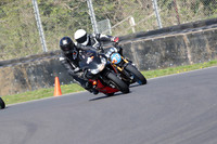 BIKES 0595