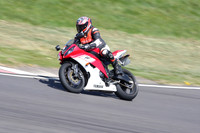 BIKES 1031