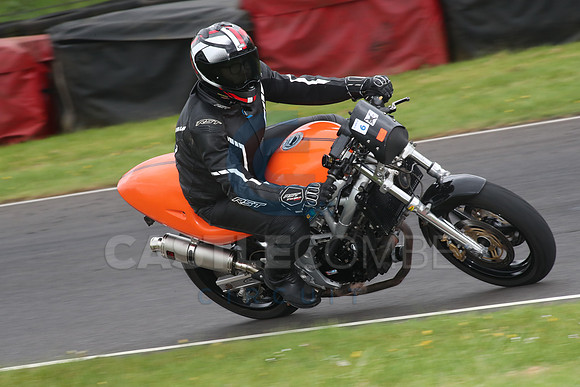 BIKES 1732