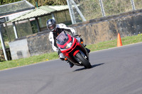 BIKES 0649
