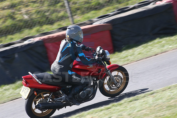 BIKES 1581