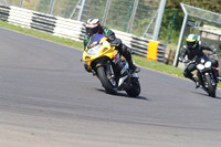 BIKES 1431