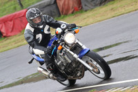 Fowlers 0594