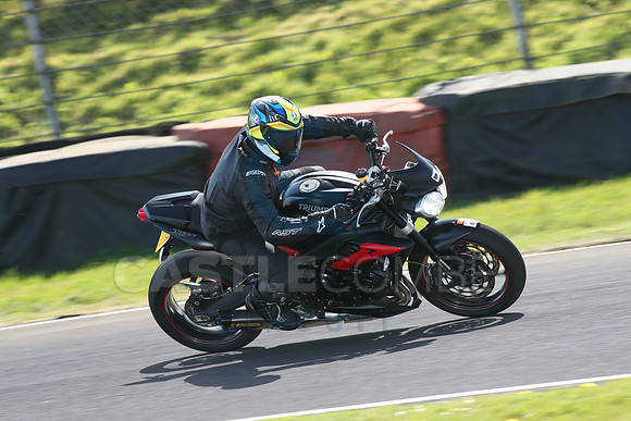 BIKES 1683