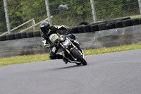 Fowlers 0427