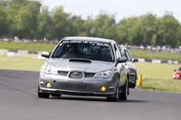 Summer Action 2337