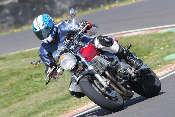 BIKES 0778