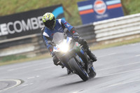 Fowlers 0880