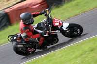 Fowlers 0684