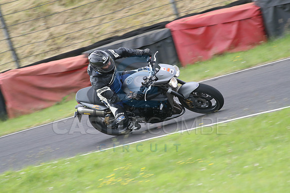 Fowlers 0668