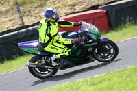 Fowlers 0698