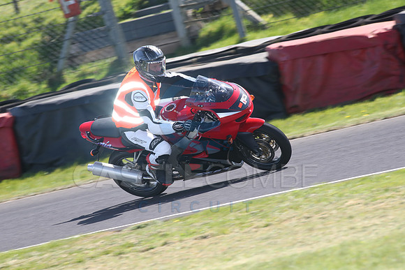BIKES 1619