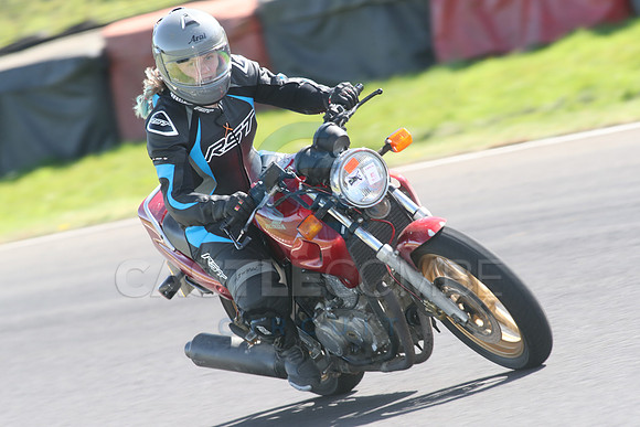 BIKES 1637