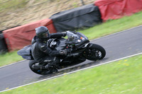 Fowlers 0676