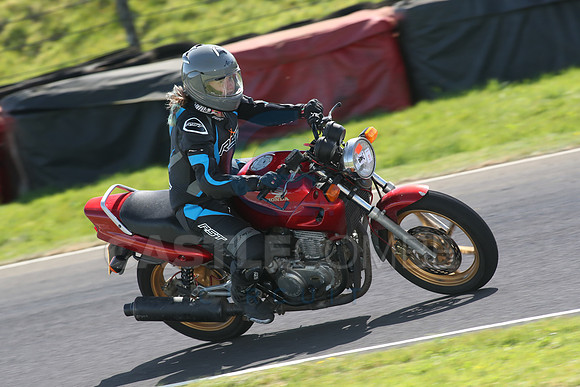 BIKES 1623