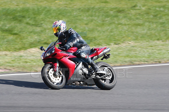 BIKES 2116